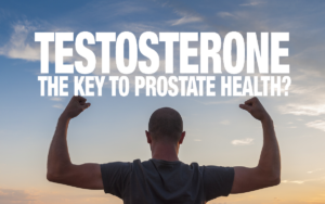 Testosterone Part III: The Key to Prostate Health?
