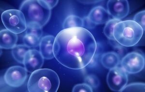 Exosomes. Extraordinary Extracellular Vesicles