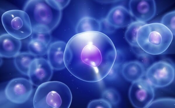 Exosomes. Extraordinary Extracellular Vesicles